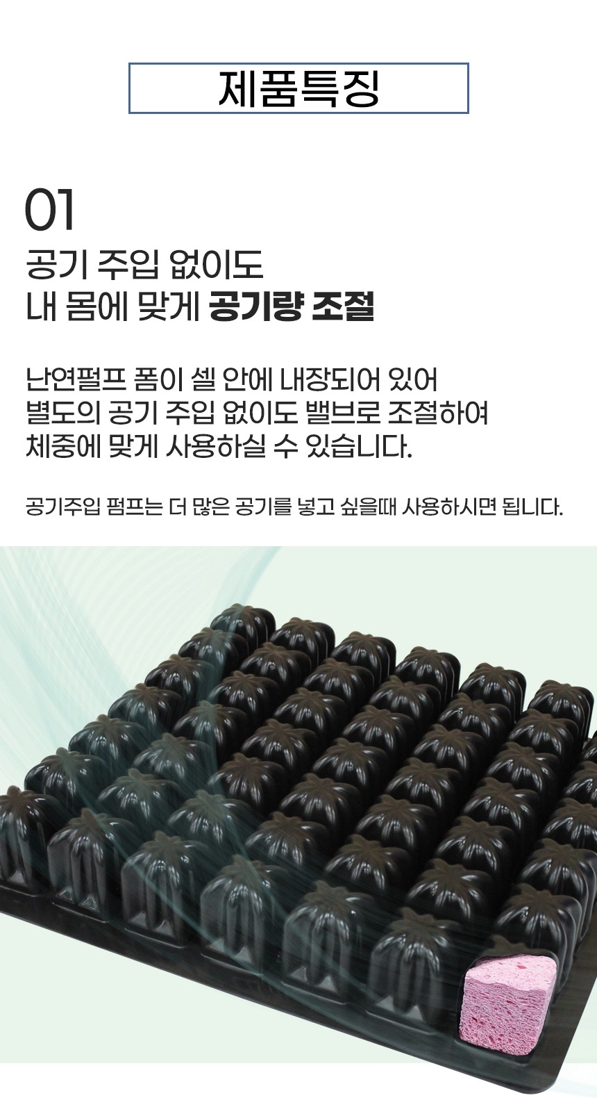 상세정보 이미지